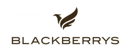 Blackberry Exclusive Store - Connaught Place - Delhi