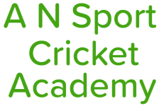 A N Sport Cricket Academy - Bhajanpura - Delhi