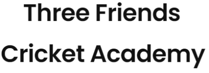 Three Friends Cricket Academy - Pitampura - Delhi