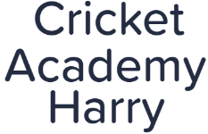 Cricket Academy Harry - Pitampura - Delhi