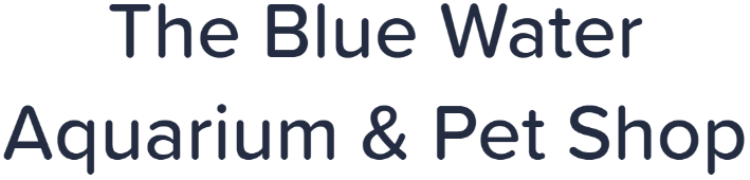 The Blue Water Aquarium & Pet Shop - Indirapuram - Ghaziabad