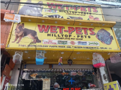 Wet-Pets - Rohini - Delhi