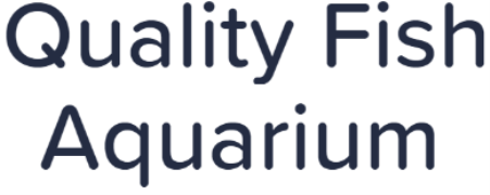 Quality Fish Aquarium - Arya Samaj Road - Faridabad