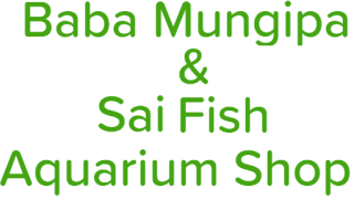 Baba Mungipa & Sai Fish Aquarium Shop - Mohan Nagar - Delhi