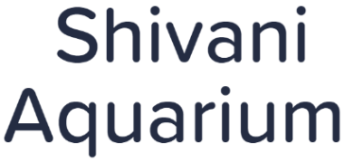 Bluebox Aquatics - Sector 23 - Gurugram