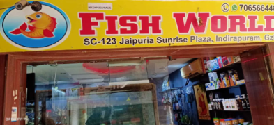 Fish World - Indirapuram - Ghaziabad