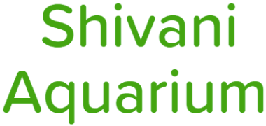 Shivani Aquarium - Molarband - Delhi