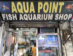 Aqua Point Fish Aquarium Shop - Janakpuri - Delhi
