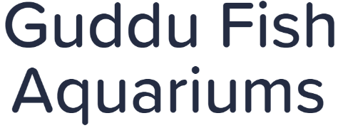 Guddu Fish Aquariums - GB Road - Delhi