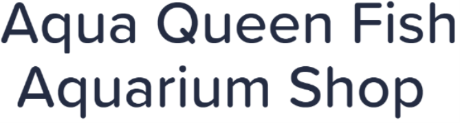 Aqua Queen Fish Aquarium Shop - Vaishali - Ghaziabad