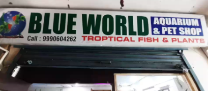 Blue World Aquarium And Pet Shop - Indirapuram - Ghaziabad