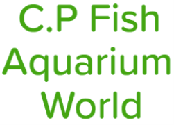 C.P Fish Aquarium World - Nangloi - Delhi