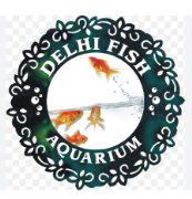 Delhi Fish Aquarium - Sonia Vihar - Delhi