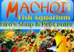 Machoi Fish Aquarium Shop & Pet Center - Badarpur - Delhi