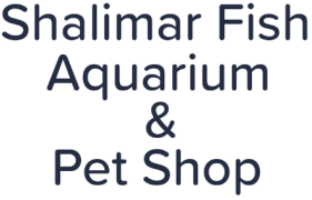 Shalimar Fish Aquarium & Pet Shop - Shalimar Garden - Sahibabad