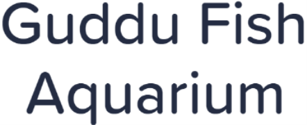 Guddu Fish Aquarium - Lal Kuan Bazar - Delhi