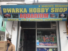 Dwarka Hobby Shop Aquarium - Dwarka - Delhi