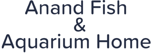 Anand Fish & Aquarium Home - Tilak Nagar - Delhi