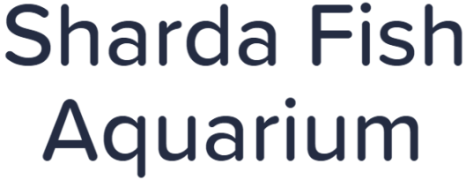 Sharda Fish Aquarium - Uttam Nagar - Delhi