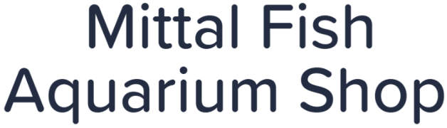 Mittal Fish Aquarium Shop - Mayur Vihar - Delhi