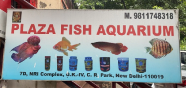 Plaza Fish Aquarium - C R Park - Delhi