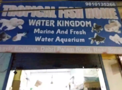 Water Kingdom - Dabri Palam Road - Delhi