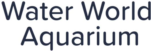 Water World Aquarium - Rohini - Delhi