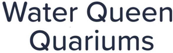Water Queen Quariums - Uttam Nagar - Delhi