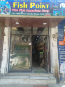 Fish Point - Krishna Nagar - Delhi