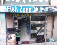 Fish Zone - Ishwar Nagar - Delhi