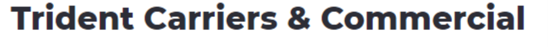 Trident Carriers & Commercials - Rasulgarh - Bhubaneswar