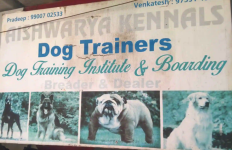 Aishwarya Kennels - RT Nagar - Bengaluru