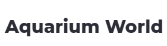 Aquarium World - JP Nagar - Bengaluru