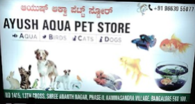 Ayush Aqua Pet Store - Electronic City - Bengaluru