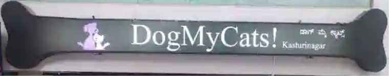 Dog My Cats - Kasturi Nagar - Bengaluru