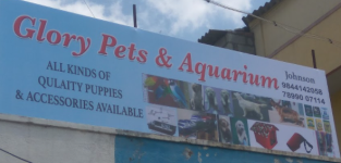 Glory Pets Shop - Horamavu Agara - Bengaluru