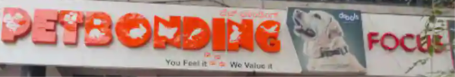 Pet Bonding - Mahalakshmipuram Layout - Bengaluru