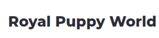 Royal Puppy - Koramangala - Bengaluru