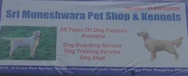 Sri Muneshwara Pet Shop - RT Nagar - Bengaluru