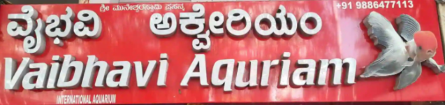 Vaibhavi Aquarium (International Aquarium) - Basaveshwara Nagar - Bengaluru