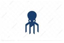 Octopus Management Services