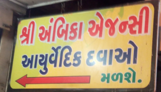 Shree Ambica Agency - Dandia Bazar - Vadodara