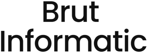 Brut Informatic - Nizampura - Vadodara