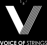 Voice Of Strings - Pragathi Nagar - Hyderabad