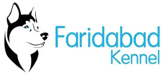 Faridabad Kennel And Pet Boarding - Sector 31 - Faridabad