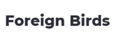 Foreign Birds - Mahipalpur - Delhi