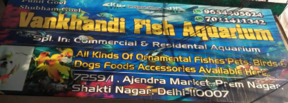 Vankhandi Fish Aquarium - Govindpuri - Delhi
