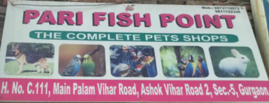Pari Fish Point - Palam Vihar - Gurugram