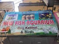 New Fish Aquarium & Dog Canel - Rajouri Garden - Delhi