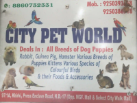 City Pet World - Press Enclave - Delhi